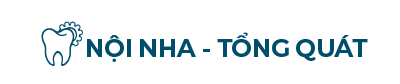 Noi Nha Tong Quat