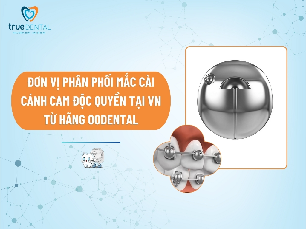 TRUE DENTAL: ĐƠN VỊ PHÂN PHỐI MẮC CÀI CÁNH CAM ĐỘC QUYỀN TẠI VN TỪ HÃNG OODENTAL