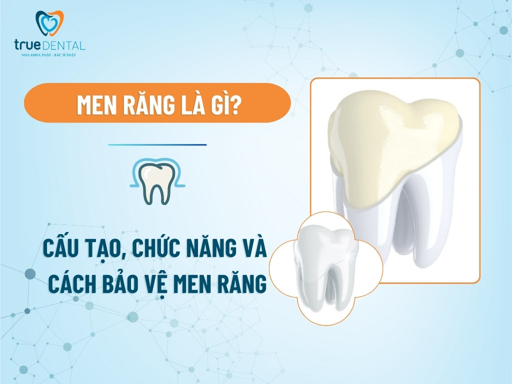 MEN RĂNG LÀ GÌ? CẤU TẠO, CHỨC NĂNG VÀ CÁCH BẢO VỆ MEN RĂNG