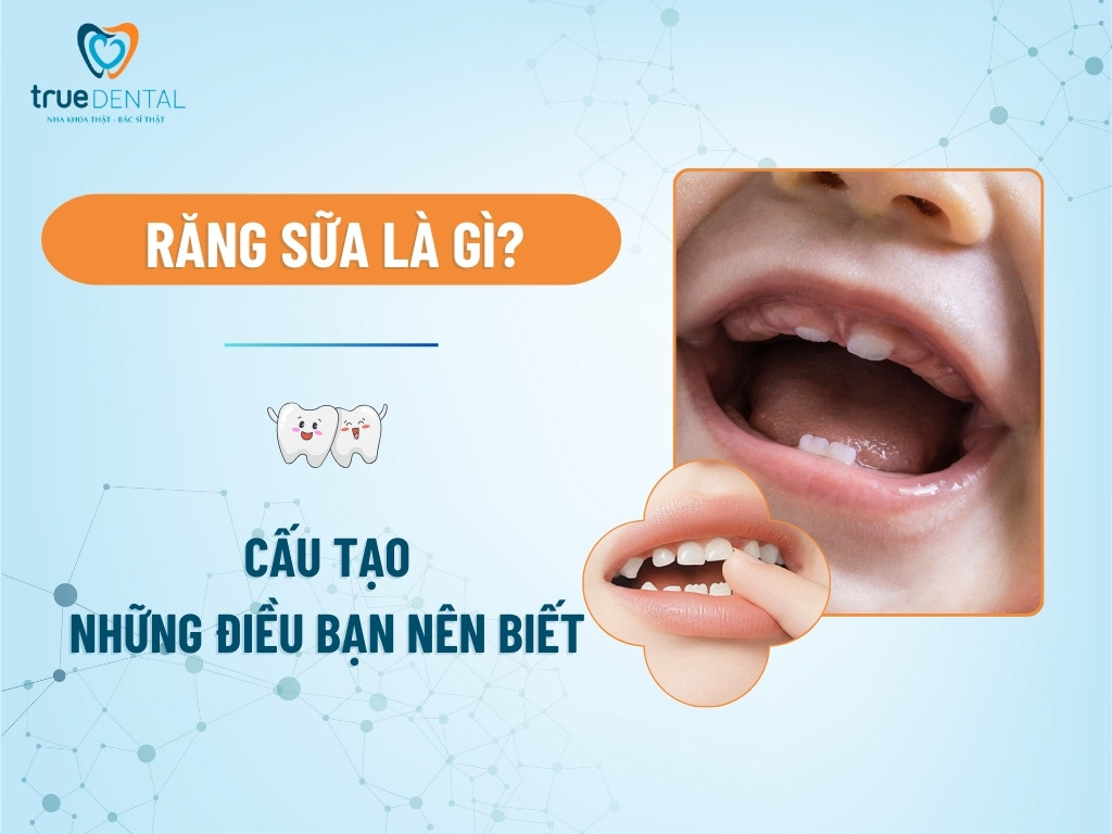 rang sua la gi 1